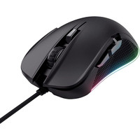 RATON TRUST GXT 922 YBAR BK V2