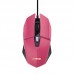 RATON TRUST GXT 109 FELOX PK