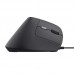 RATON TRUST BAYO II WIRED BK RATON TRUST BAYO II WIRED BK