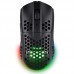 RATON TRUST GXT 929 HELOX BK RATON TRUST GXT 929 HELOX BK