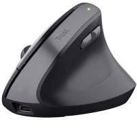 RATON TRUST TM-270