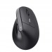 RATON TRUST TM-270
