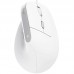 RATON TRUST BAYO II WIRED WH