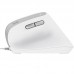RATON TRUST BAYO II WIRED WH