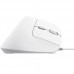 RATON TRUST BAYO II WIRED WH