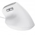 RATON TRUST BAYO II WIRED WH