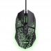 RATON TRUST GXT 113 FELOX BK