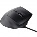 RATON TRUST GXT 145 REXXA BK