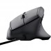 RATON TRUST GXT 145 REXXA BK
