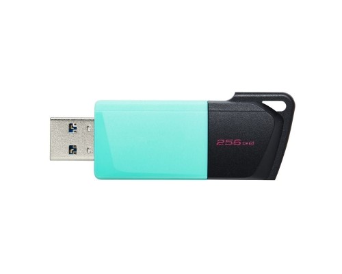 MEMORIA KINGSTON-JETFLASH DTXM 256GB MEMORIA KINGSTON-JETFLASH DTXM 256GB