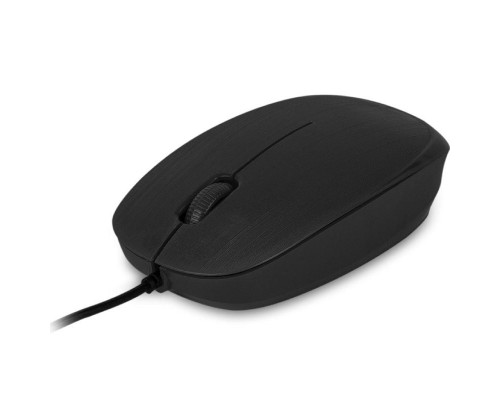 RATON NGS FLAME RATON NGS FLAME