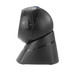 LECTOR CODIGO DE BARRAS GENERICO MS3-2D DESKTOP