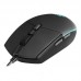 RATON TACENS MMG