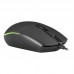 RATON TACENS MMG