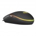 RATON TACENS MMG