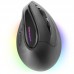 RATON TACENS MM-SK BK RATON TACENS MM-SK BK