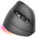 RATON TACENS MM-SK BK RATON TACENS MM-SK BK