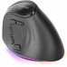 RATON TACENS MM-SK BK RATON TACENS MM-SK BK