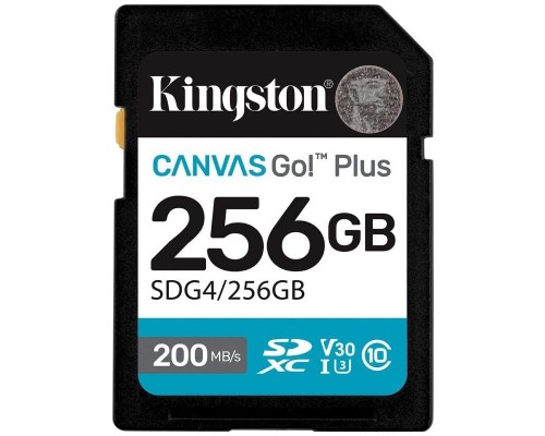 MEMORIA KINGSTON-SD SDG4 256GB
